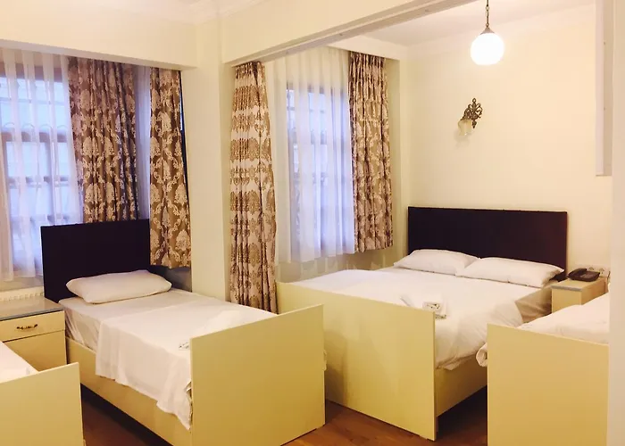 酒店 Eresin Sultanahmet - Boutique Class